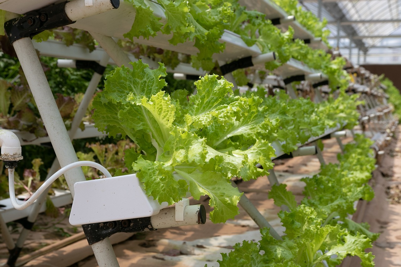 support-irrigation
